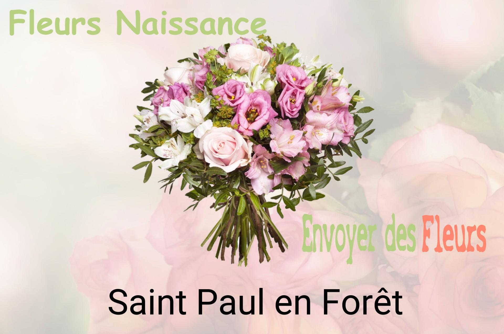 Bouquet de fleurs de naissance livré à Saint-Paul-en-Forêt